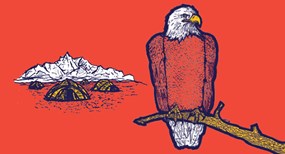 market introduction phase