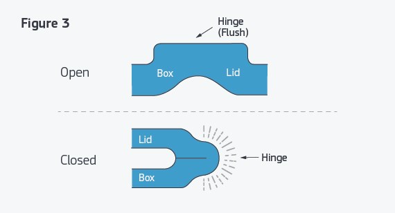 living hing illustration